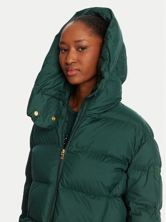 PINKO PINKO Winterjacke 101602 A2P6 Grün Regular Fit