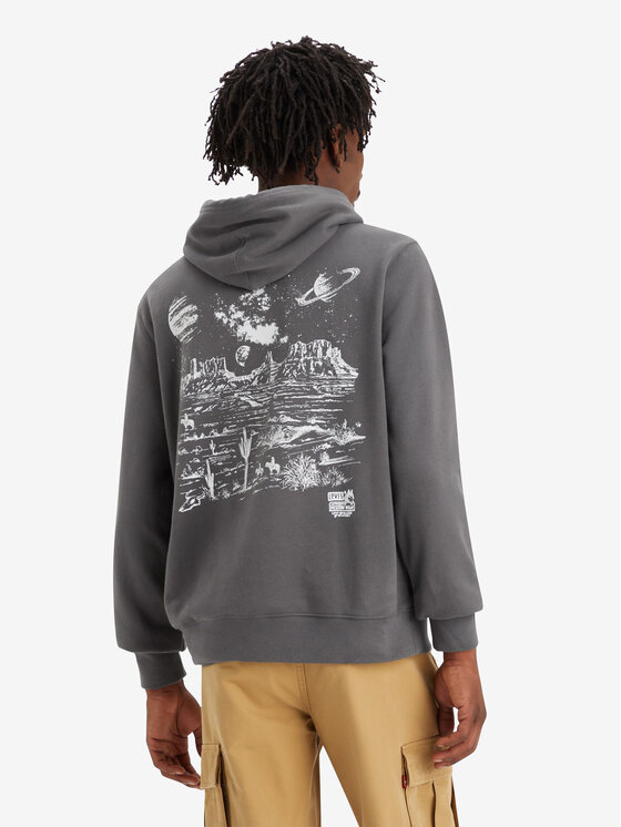 Levi's® Levi's® Sweatshirt Graphic 38424-0083 Grau Standard Fit