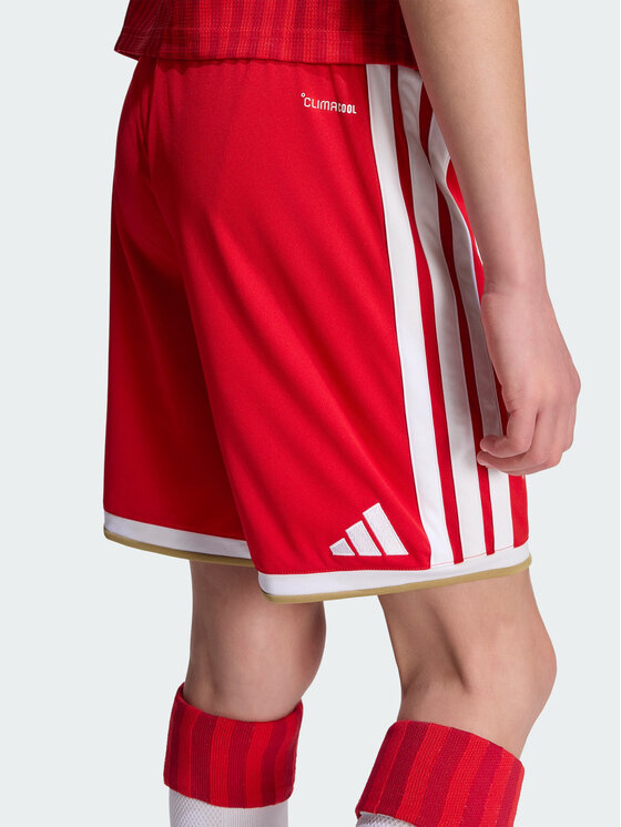 adidas adidas Szorty sportowe 168827 Czerwony Regular Fit