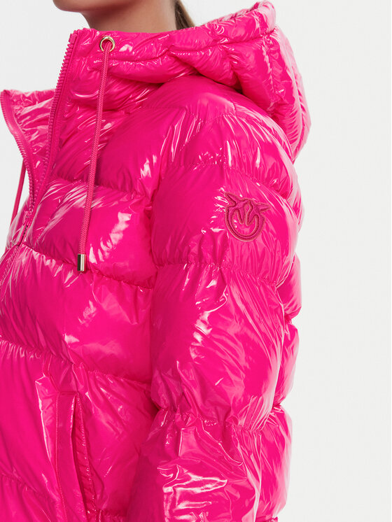 PINKO PINKO Zimska jakna Eleodoro 101597 A2P7 Ružičasta Regular Fit