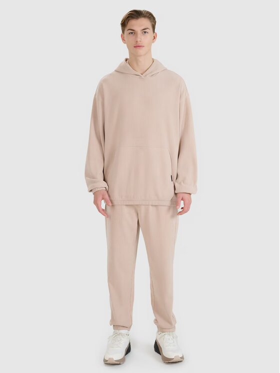 4F 4F Jogger nohavice 4FRSS25TTROM1476-83S Hnedá Regular Fit