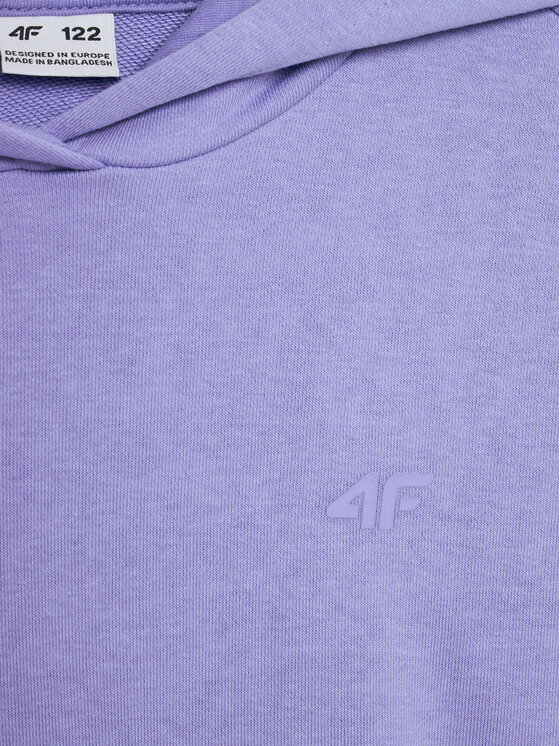 4F 4F Džemperis 4FJWMM00TSWSF1316 Mėlyna Regular Fit