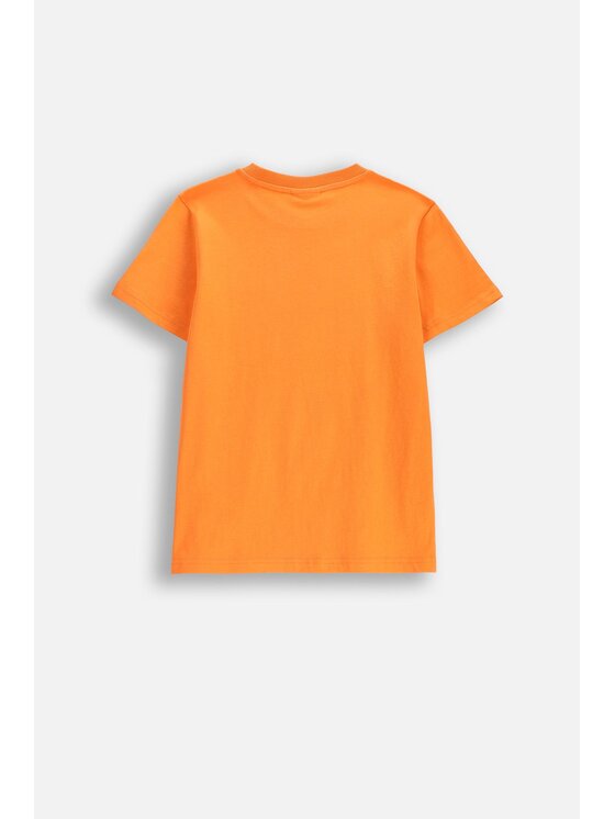 Coccodrillo Coccodrillo T-Shirt WC6143216VBB-006 Pomarańczowy Regular Fit