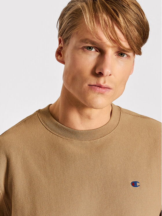 Felpa 217223 Marrone Regular Fit