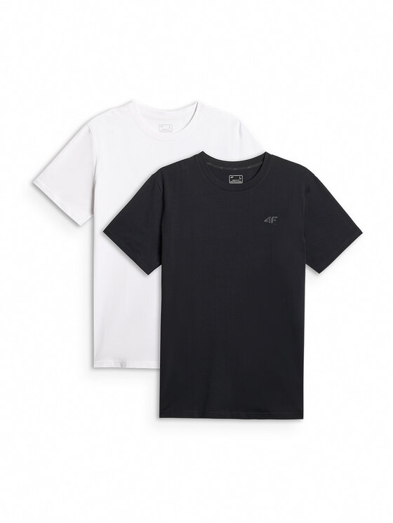 4F 4F T-Shirt ESSENTIAL 2 Kolorowy Regular Fit