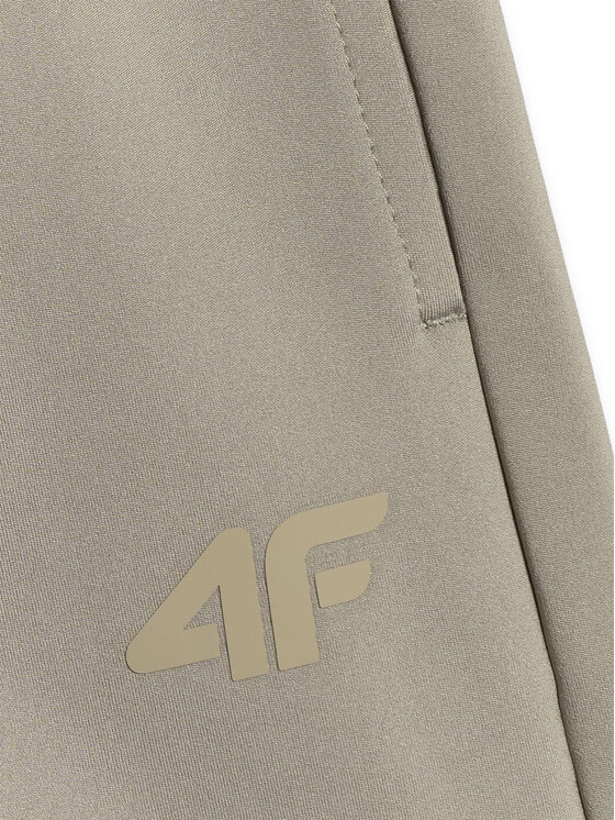 4F 4F Szorty sportowe MULTI ACTIVE Zielony Regular Fit