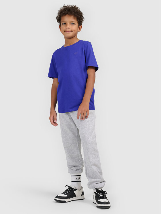 4F 4F T-Shirt BASIC+ Niebieski Regular Fit