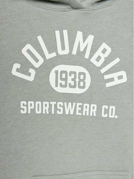 Columbia Columbia Majica dugih rukava Trek™ Hoodie Siva Regular Fit