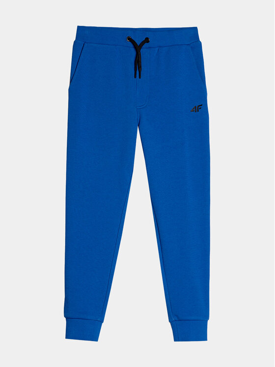 4F Pantaloni trening 4FJAW23TTROM410 Albastru Regular Fit