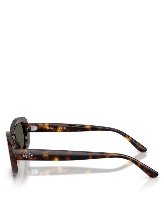 Ray-Ban Ray-Ban Sončna očala 0RB2221 Rjava