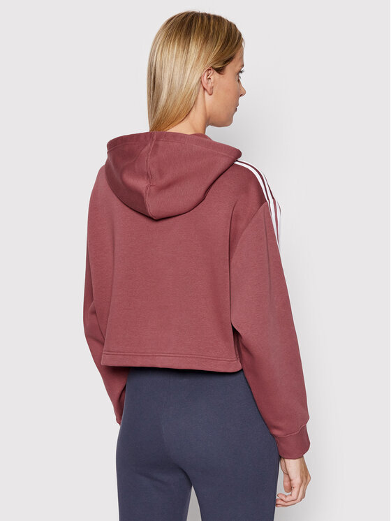 Felpa adicolor HC7531 Bordeaux Regular Fit