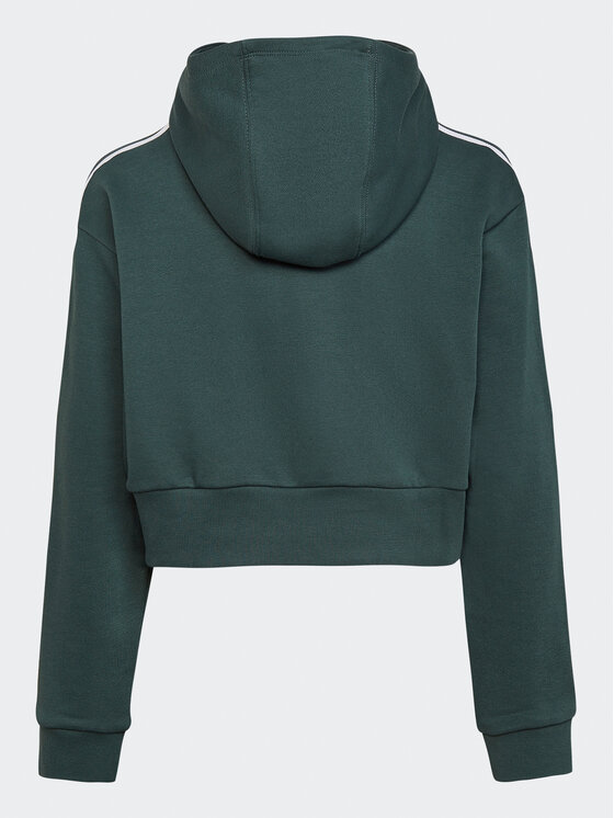 Adidas originals green cropped hoodie clearance