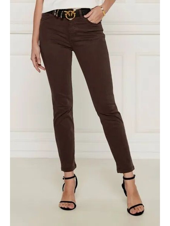 PINKO PINKO Pantaloni chino 67687 Marrone Regular Fit