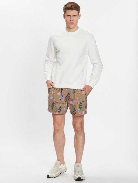 The North Face The North Face Sportske kratke hlače Class V NF0A5A5X Smeđa Regular Fit