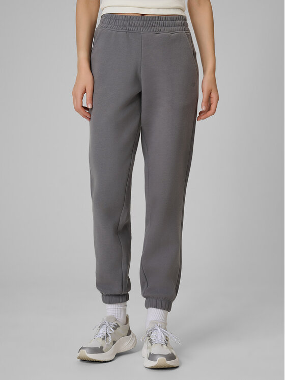 4F 4F Spodnie dresowe BASIC+ Szary Regular Fit