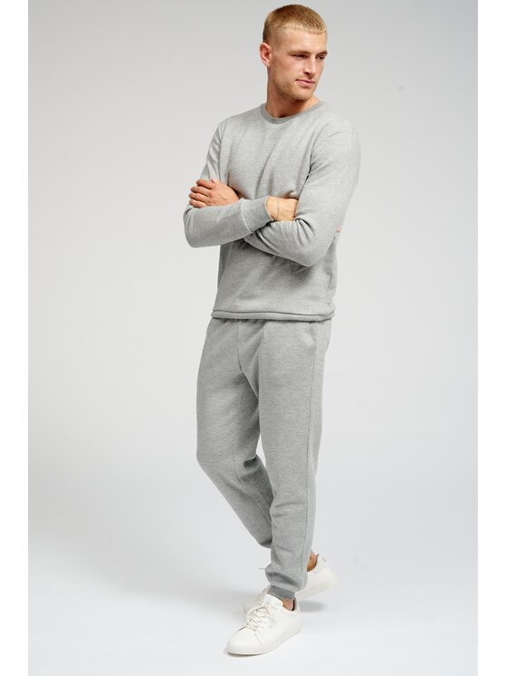 TeeShoppen TeeShoppen Joggery 'Basic Collection' Szary Regular Fit