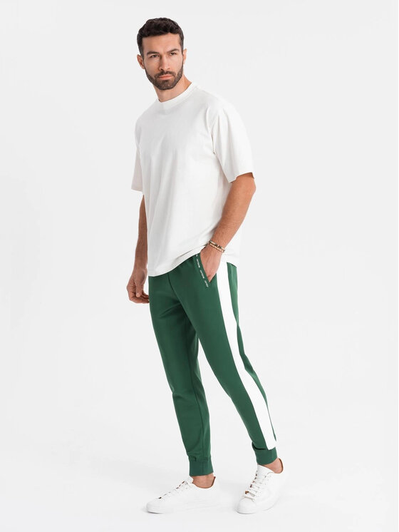 Ombre Ombre Spodnie dresowe OM-PASK-0229 Zielony Regular Fit