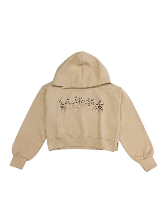 DISCLAIMER DISCLAIMER Felpa q-bab-70094 Beige Regular Fit
