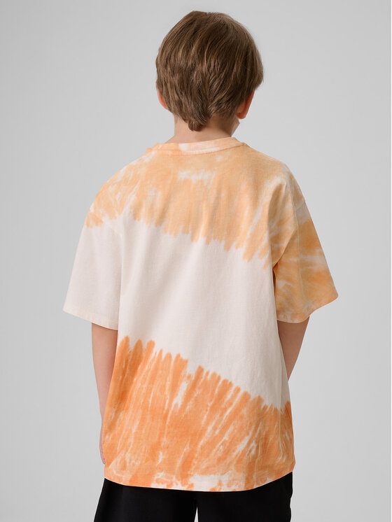4F 4F T-Shirt SKATE & RIDE Kolorowy Loose Fit