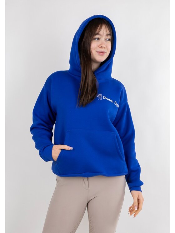 DKaren Sport DKaren Sport Bluza Eq 001 Niebieski Classic Fit