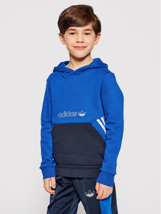 Felpa Collection Hoodie GN2384 Blu scuro Regular