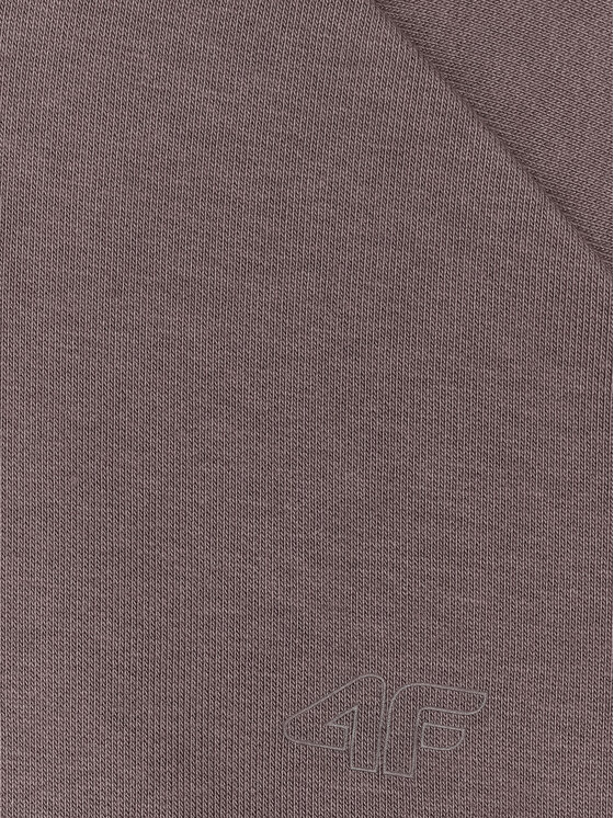 4F 4F Bluza BASIC+ Brązowy jasny Loose Fit