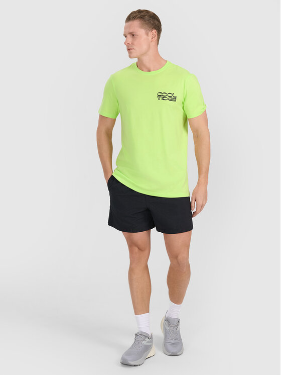 4F 4F T-Shirt CHILLY WAVES Zielony Regular Fit