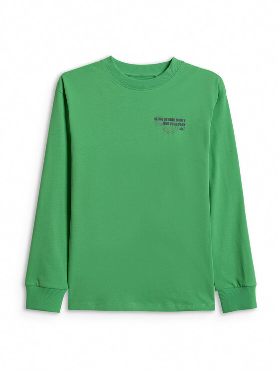 4F 4F Bluza ENJOY THE OUTDOORS Zielony Loose Fit