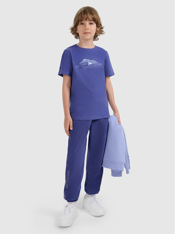 4F 4F T-Shirt APRES SKI Granatowy Regular Fit
