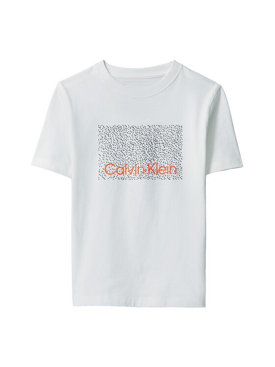 Calvin Klein Jeans Calvin Klein Jeans Tričko LVCKSJA04B Biela Regular Fit