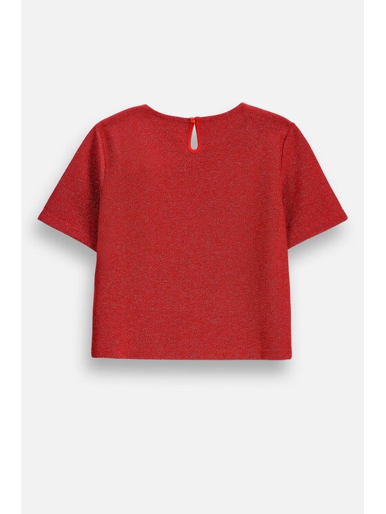 Coccodrillo Coccodrillo T-Shirt ZC6143202EJG-009 Czerwony Regular Fit