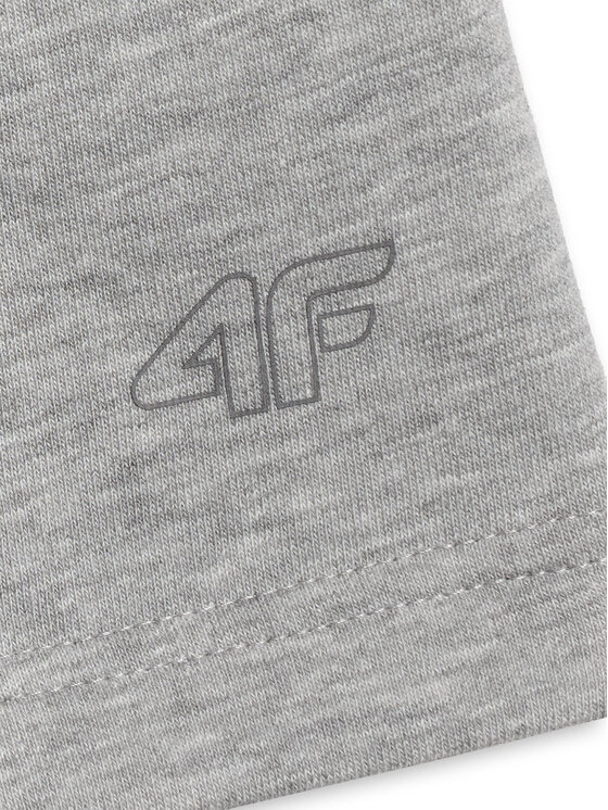 4F 4F Szorty sportowe BASIC+ Szary Regular Fit