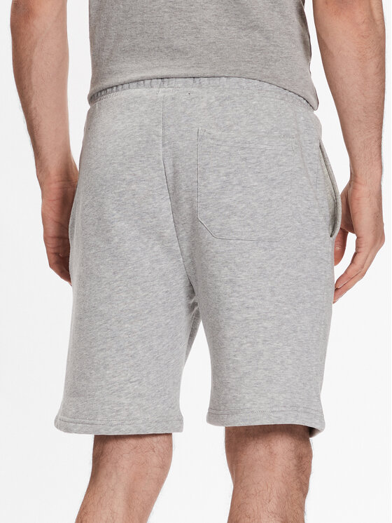 Brave Soul Brave Soul Αθλητικό σορτς MSRT-69TARLEYQ Γκρι Regular Fit