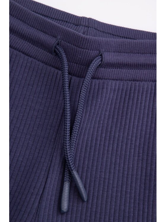 Coccodrillo Coccodrillo Spodnie dresowe WC5122101SBK-015 Granatowy Regular Fit