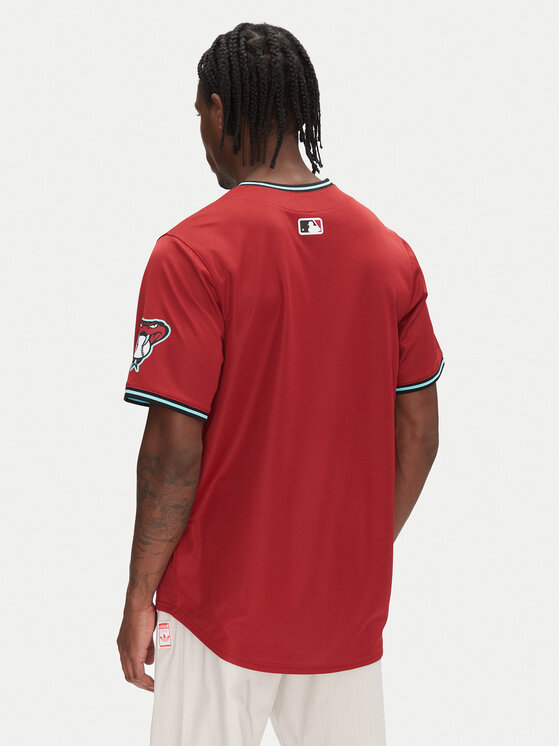 Nike Nike Marškinėliai LM25-DKA2-DQS-1U2 Vyšninė Regular Fit
