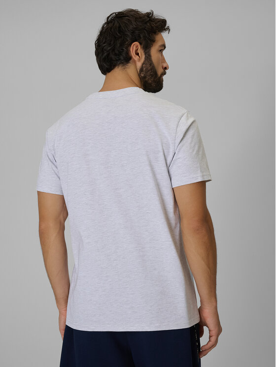 4F 4F T-Shirt casual Szary jasny Regular Fit