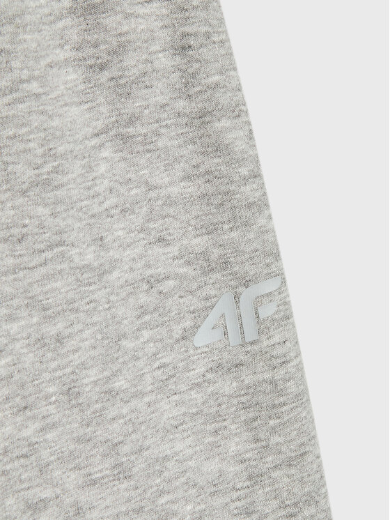 4F 4F Spodnie dresowe HJZ22-JSPDD002 Szary Regular Fit