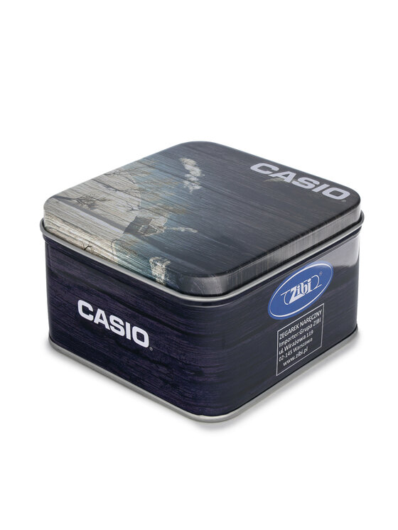 Casio Casio Sat LTP-1302D-1A1VEF Srebrna