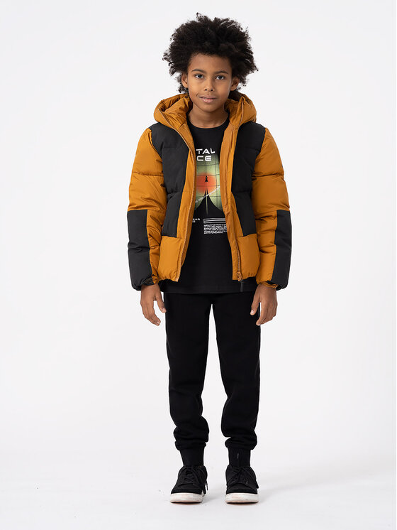4F 4F Зимно яке 4FJAW23TDJAM276 Кафяв Regular Fit