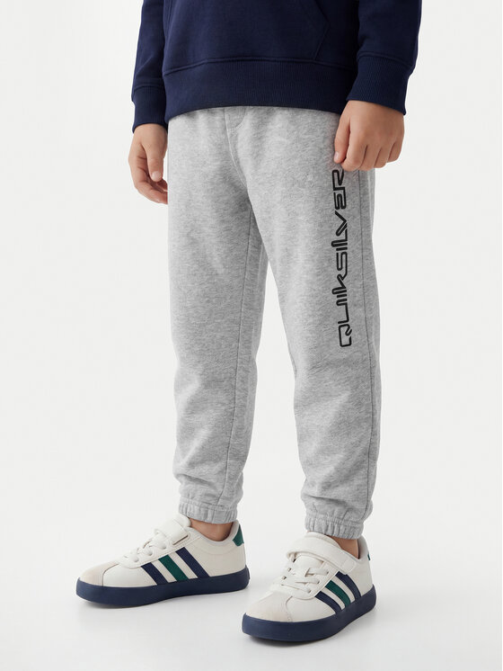 Quiksilver Pantaloni trening Graphics EQKFB03123 Gri Regular Fit