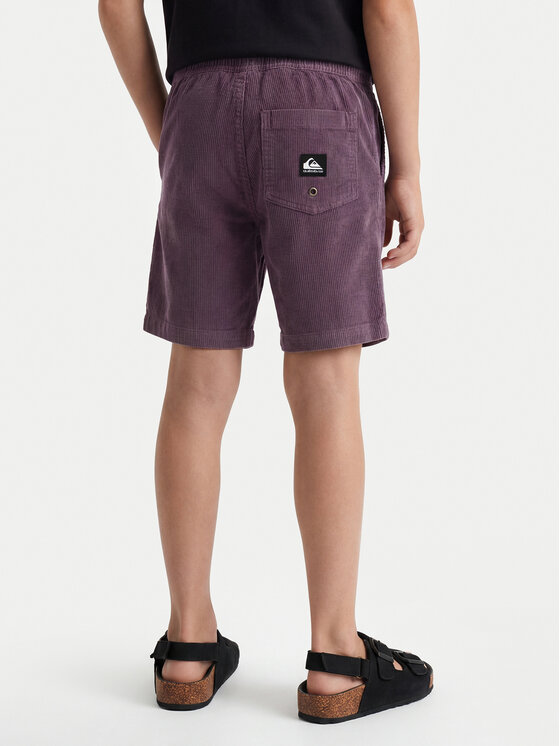 Quiksilver Quiksilver Riidest šortsid Taxer Cord EQBWS03371 Lilla Regular Fit