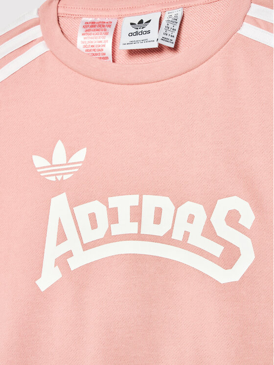 adidas adidas Bluza Graphic HC4559 Różowy Loose Fit