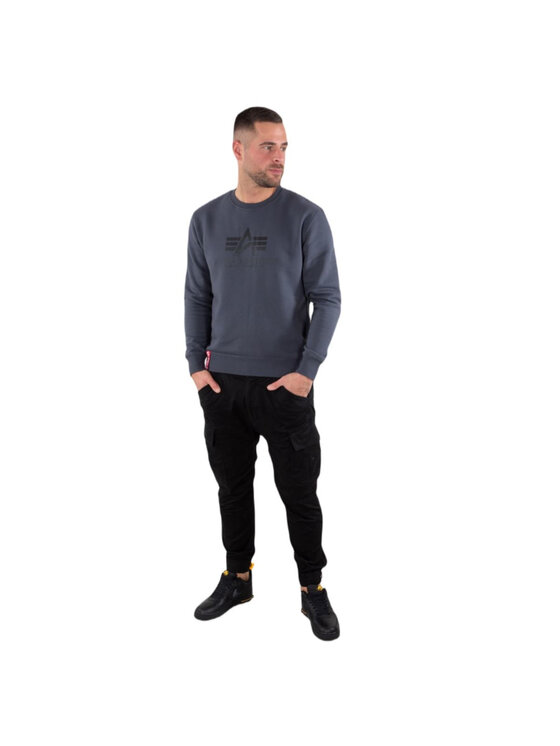 Alpha Industries Alpha Industries Bluza AI.178302-412-XS Szary Basic Fit