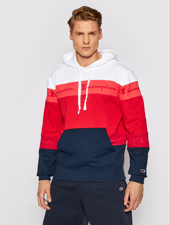 champion terry hoodie