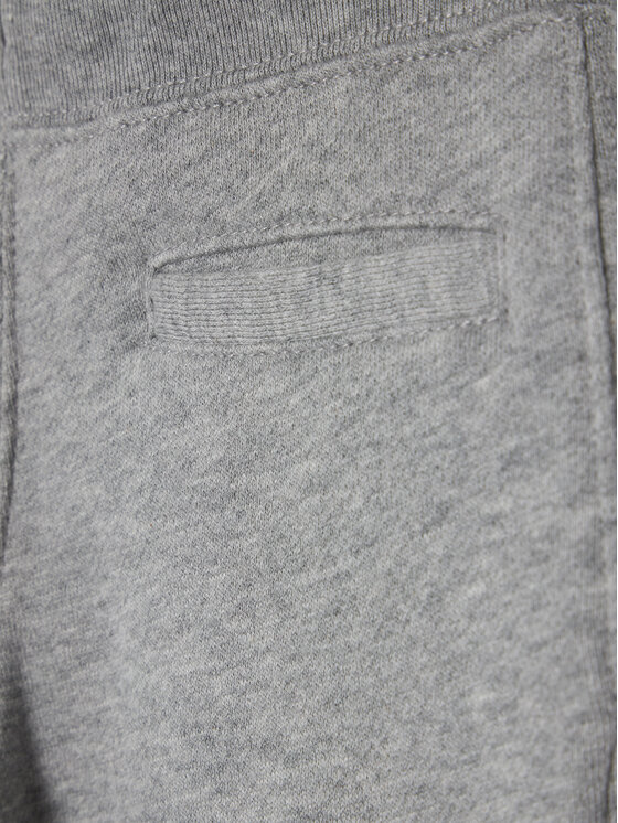 Polo Ralph Lauren Polo Ralph Lauren Donji dio trenerke 323720897004 Siva Regular Fit