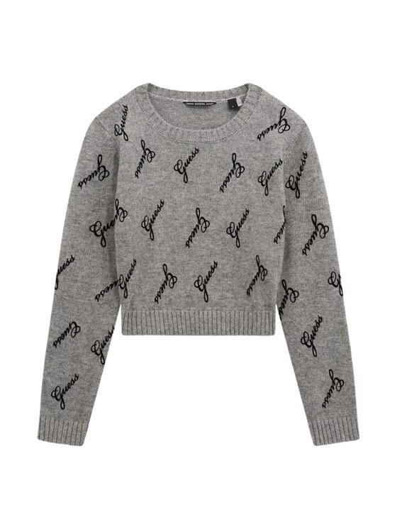 Guess Kids Guess Kids Maglione LS SWEATER Grigio Regular Fit