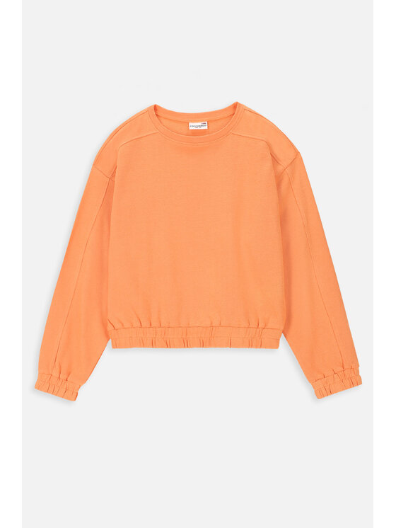 Coccodrillo Coccodrillo Bluza WC4132102CEJ-006 Pomarańczowy Regular Fit
