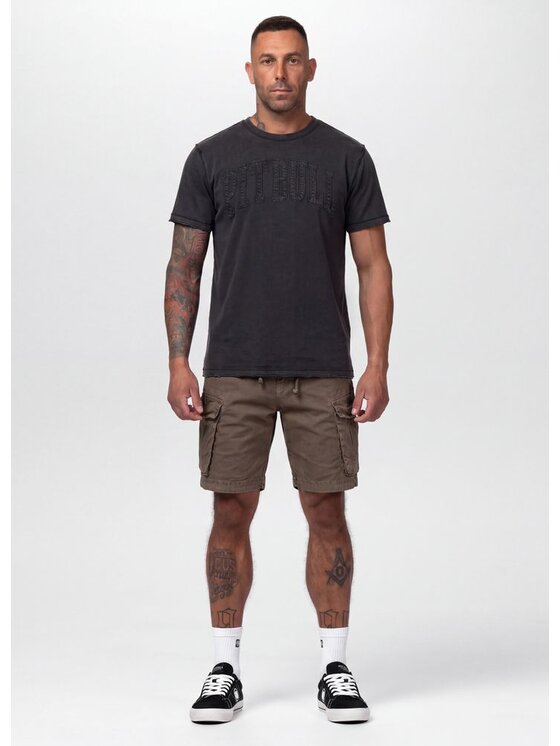 PITBULL PITBULL T-Shirt NORTON APP Szary Regular Fit
