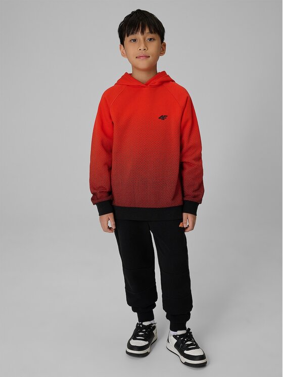 4F 4F Mikina 4FJWAW26TSWSM2687-94A Barevná Regular Fit