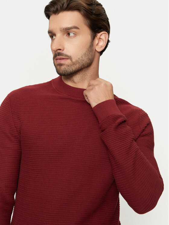 Selected Homme Selected Homme Pulover Tion 16095640 Roșu Regular Fit